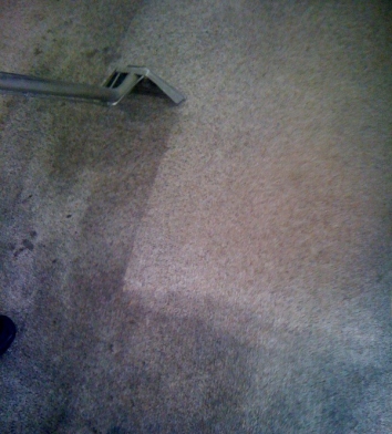 Carpet Cleaning in Houston, Texas