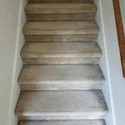Carpet Cleaning Before