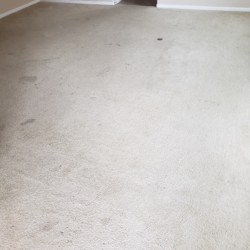 Katy Carpet Cleaning - Before