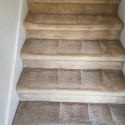Carpet Cleaning After