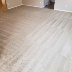 Katy Carpet Cleaning - After