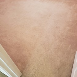 Katy Carpet Cleaning - Before