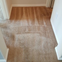 Carpet Cleaning After