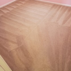 Katy Carpet Cleaning - After