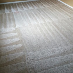 Carpet Cleaning After