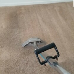 Best Carpet Cleaning Company in Houston