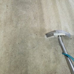 Carpet Cleaning Company Houston Texas