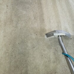 Carpet Cleaning Company Houston Texas