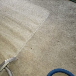 Carpet Cleaning Houston TX