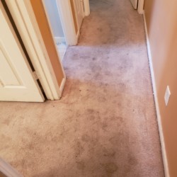 Houston Carpet Cleaning - Before