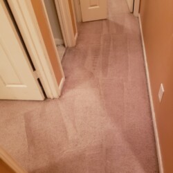 Houston Carpet Cleaning - After