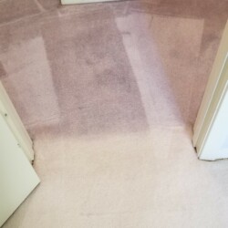 Carpet Dye Houston