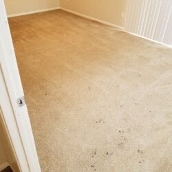 Carpet Dye Katy, Texas Before