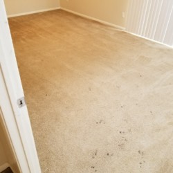 Carpet Dye Katy, Texas Before