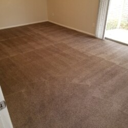 Carpet Dye Katy, Texas After