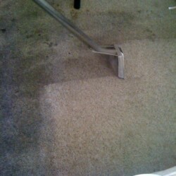 Houston carpet cleaning