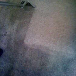 Houston carpet cleaning