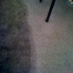 Houston carpet cleaning
