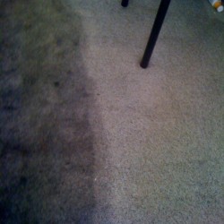Houston carpet cleaning