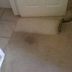 Houston carpet cleaning