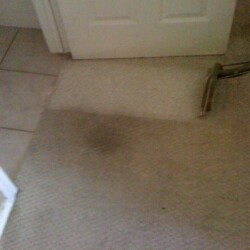 Houston carpet cleaning