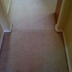 Houston carpet cleaning
