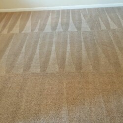 Houston carpet cleaning