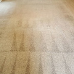 Houston carpet cleaning