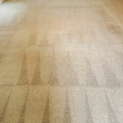 Houston carpet cleaning