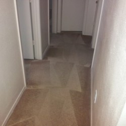 Houston Carpet Dye After