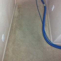 Houston Carpet Dye Before