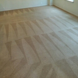 Houston Carpet Dye After