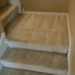 After Houston Carpet Dyeing cleaning